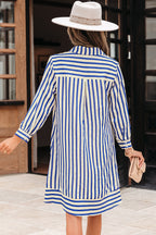 Blue Stripe Collared Half Button Side Pockets Loose Fit Mini Dress