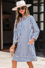 Blue Stripe Collared Half Button Side Pockets Loose Fit Mini Dress