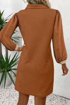 Chestnut Textured Contrast Striped Split Neck Long Sleeve Shift Mini Dress