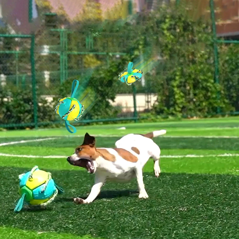 UFORGJENGELIG 2 - 1 HUND FOTBALL FLYGENDE FRISBEE MED TAU