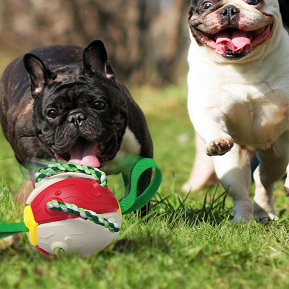 UFORGJENGELIG 2 - 1 HUND FOTBALL FLYGENDE FRISBEE MED TAU