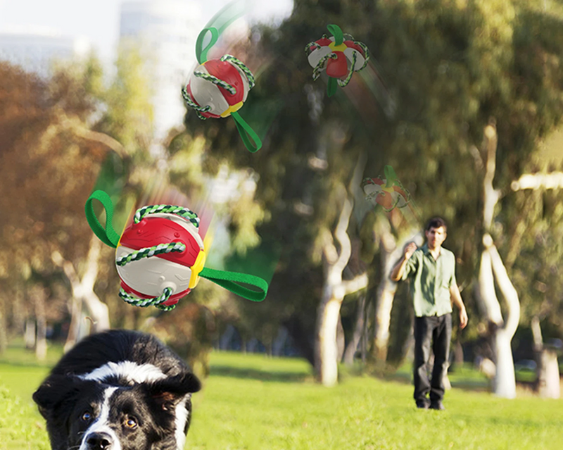 UFORGJENGELIG 2 - 1 HUND FOTBALL FLYGENDE FRISBEE MED TAU